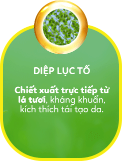 diep-luc-to