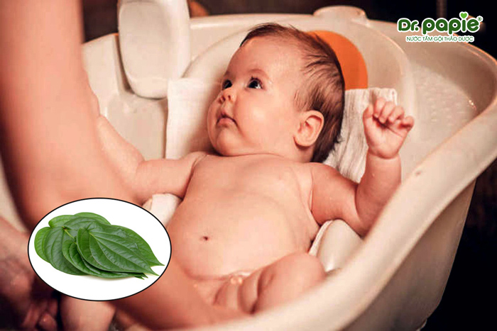 Công dụng của việc tắm lá trầu không cho trẻ sơ sinh